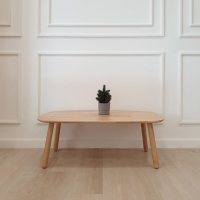 Easycozy Coffee Table โต๊ะกาแฟ ขนาด W100xD55xH35 รุ่น Pulpy