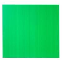 ราคา แผ่นพลาสติกลูกฟูก 3 มม. 65x61 ซม. เขียว Plango (5004139)