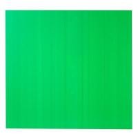ราคา แผ่นพลาสติกลูกฟูก 3มม. 65x61ซม. เขียว PJ แพลนโก (5007936)