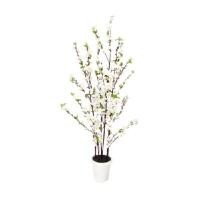 ราคา ต้นซากุระปลอม พิมาน สีขาว 110 ซม. (A013912)