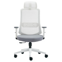 ราคา ERGOTREND X OFFICEMATE เก้าอี้เพื่อสุขภาพ รุ่น Iceberg สีขาว (A020906)