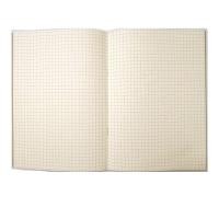 ราคา สมุด GRID iboom IB1902 30 แผ่น เส้นตาราง, กรีนรี้ด B6 ( (Y005704)