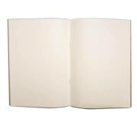 ราคา สมุด ไม่มีเส้น iboom IB1102 30 แผ่น, กรีนรี้ด B6 (4 เล่ (Y005760)