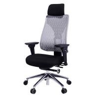 ราคา เก้าอี้เพื่อสุขภาพ Ergotrend รุ่น Truly (Y014856)