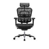 ราคา DF Prochair เก้าอี้เพื่อสุขภาพ รุ่น Ergo 2ดำ (Y018868)