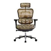 ราคา DF Prochair เก้าอี้เพื่อสุขภาพ รุ่น Ergo 2ทอง (Y018873)