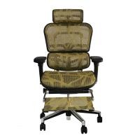 ราคา เก้าอี้เพื่อสุขภาพ DF Prochair รุ่น Ergo 2 Plusทอง (Y018883)