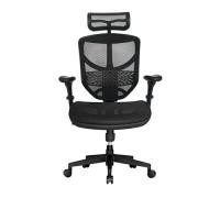 ราคา เก้าอี้เพื่อสุขภาพ DF Prochair JJ-H สีดำ (Y018899)