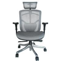 ราคา เก้าอี้เพื่อสุขภาพ DF Prochair รุ่น BT-Hขาว (Y018903)