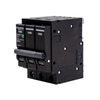 ราคา ลูกย่อยสวิตช์ตัดตอนอัตโนมัติ SQUARE D รุ่น Q0316VSC6T ก (Y023954)