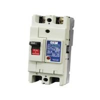 ราคา โมลเคสเซอร์กิตเบรกเกอร์ CT ELECTRIC รุ่น CTNF-63c 2P60A (Y033034)