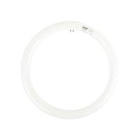 ราคา หลอดไฟนีออนกลม สีเดย์ไลท์ กำลัง 32 วัตต์ PHILIPS รุ่น SUPER TLE32/865 (Y037535)