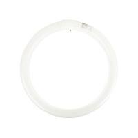 ราคา หลอดไฟนีออนกลม สีเดย์ไลท์ กำลัง 32 วัตต์ PHILIPS รุ่น TLE32/54 (Y037539)