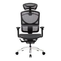 ราคา เก้าอี้เพื่อสุขภาพ ออร์โกเทรน GOTLAND สีดำ (Y056074)