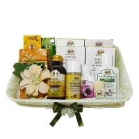 ราคา ชุด ยาประจำบ้าน 3 อภัยภูเบศร (Y070409)