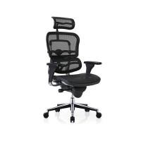 DF Prochair เก้าอี้เพื่อสุขภาพ รุ่น Ergo1 Smart AL