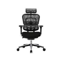 DF Prochair เก้าอี้เพื่อสุขภาพ รุ่น Ergo2 MF