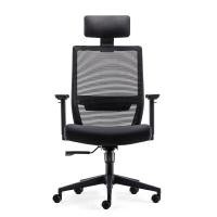 DF Prochair เก้าอี้เพื่อสุขภาพ รุ่น Polo-H