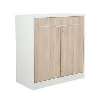 ราคา INDEX LIVING MALL ตู้เตี้ย 2 บานประตู รุ่นเวคตร้า ขนาด 80 เซนติเมตร - สีขาว (Y084364)