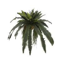 ราคา ใบไม้ประดิษฐ์ เฟิร์นระย้าพร้อมกระถางแขวน FONTE รุ่น TTZ2204181 สีเขียว (Y099638)