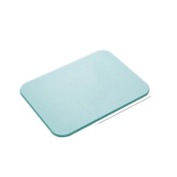 ราคา พรมหินเช็ดเท้า พรมเช็ดเท้าแร่หิน TS Modern Living THAI SUN SPORT MAT0001 สีเขียว pcs 60x39 (YA16209)
