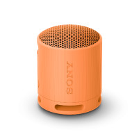ราคา ลำโพงไร้สาย Sony SRS-XB100 ลำโพงบลูทูธ ลำโพงพกพา (YA17182)