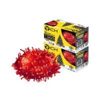 ราคา RICH ไฟตกแต่ง แอลอีดี 7 วัตต์ แสงสีแดง ซานต้า (แพ็ค 2) (YA23906)