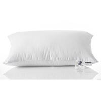 ราคา DUNLOPILLO หมอนหนุน รุ่น Royal Cloud สีขาว ขนาด 20X30 นิ้ว (YA38284)