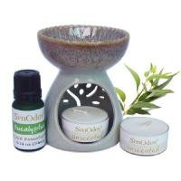 ราคา SENODOS ชุดเตาเผาน้ำมันหอมระเหย ยูคาลิปตัส 10ML + เทียนไขถั่วเหลือง (2ชิ้น) (YA42409)