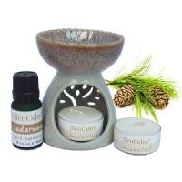 ราคา SENODOS ชุดน้ำมันหอมระเหยแท้ กลิ่น CEDARWOOD 10 ML+เตาเผาเซรามิคสีเขียวหยก (แถมเทียนไขถั่วเหลือง 2 ชิ้น) (YA42737)