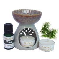 ราคา SENODOS ชุดเตาเผาน้ำมันหอมระเหย + น้ำมันหอมระเหย Pine 10ML (YA42738)