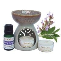 ราคา SENODOS OIL BURNER + CLARY SAGE PURE ESSENTIAL OIL 10 มล. + เทียนไขถั่วเหลือง (YA42761)