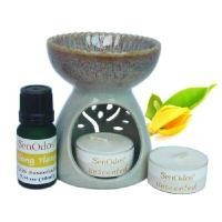 ราคา SENODOS ชุดเตาเผาน้ำมันหอมระเหยและน้ำมันหอมระเหยกระดังงา 10 ml (แถมเทียนไขถั่วเหลือง 15 g x 2 ชิ้น) (YA42967)