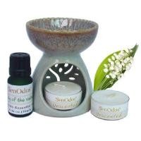 ราคา SENODOS Oil Burner + Lily of the Valley Pure Essential Oil 10ml (YA43018)