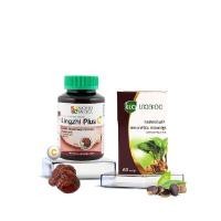 ราคา KHAOLAOR ชุดบำรุงกำลัง หลินจือพลัสซี และกระชายดำพลัสแอล-อาร์จินีน (YA68121)