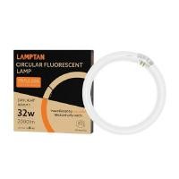 ราคา LAMPTAN หลอดไฟนีออนกลม 32 วัตต์ แสงสีขาว Daylight (YB24638)