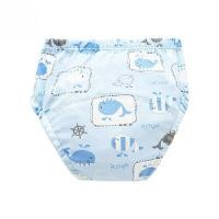 ราคา THAI SUN SPORT กางเกงผ้าอ้อมสำเร็จรูปซักได้ คละลาย ขนาด M (YB32020)