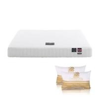 ราคา DUNLOPILLO ที่นอน รุ่น Venus ขนาด 6 ฟุต + ฟรีหมอนหนุน 2 ใบ (YB64155)