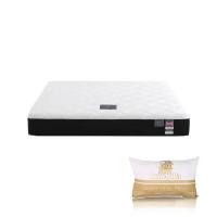 ราคา DUNLOPILLO ที่นอน รุ่น ORIENT ขนาด 3.5 ฟุต ฟรีหมอนหนุน 1 ใบ (YB64147)