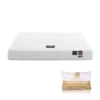 ราคา DUNLOPILLO ที่นอน รุ่น Venus ขนาด 3.5 ฟุต + ฟรีหมอนหนุน 1 ใบ (YB64166)