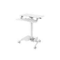 ราคา ERGONOZ โต๊ะคอมพิวเตอร์ รุ่น Computer Cart Standing Desk สีขาว ปรับระดับได้ (YB67946)