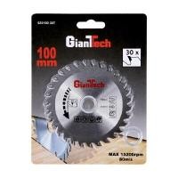 ราคา GIANTTECH ใบเลื่อยวงเดือน 30 ฟัน ขนาด 4 นิ้ว รุ่น 62010030T (YB89078)