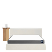 ราคา MERCURY ที่นอนยางพาราแท้ รุ่น JASMINE สัมผัสแน่น ขนาด 6 ฟุต (YC03171)