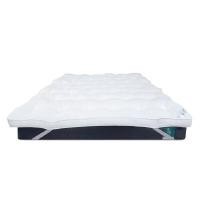 ราคา BEWELL ท็อปเปอร์เส้นใยขนห่านเทียมพรีเมียมเพื่อสุขภาพ รุ่น ErgoDown ขนาด 5 ฟุต (YC57673)