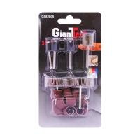 ราคา ชุดอุปกรณ์ลูกขัดกระดาษทรายสำหรับเครื่องเจียแกน GIANT TE (Y021155)