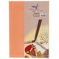 ราคา FLYING กระดาษการ์ดสี A4 120 แกรม No.17 สีส้ม (แพ็ค 100 แผ่น) (5005785)