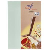 ราคา FLYING กระดาษการ์ดสี A4 120 แกรม No.09 สีเขียวอ่อน (แพ็ค 100 แผ่น) (5020950)