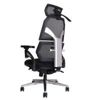 ราคา ERGOTREND เก้าอี้เพื่อสุขภาพ รุ่น Malmo สีดำ (A012540)