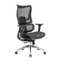 ราคา FURRADEC เก้าอี้เพื่อสุขภาพ รุ่น TYLA สีดำ (A015917)