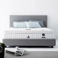 ราคา DUNLOPILLO ท็อปเปอร์ รุ่น Firma Latex lll สีขาว ขนาด 5 ฟุต (YA40428)